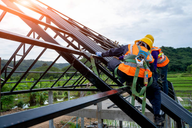 Best Metal Roofing Contractor  in Albion, PA