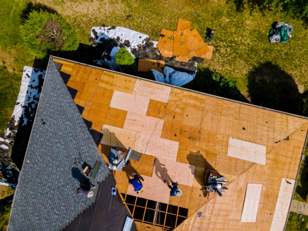 Best Roof Replacement Cost  in Albion, PA